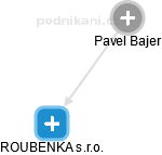 Pavel Bajer - Vizualizace  propojení osoby a firem v obchodním rejstříku