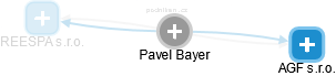 Pavel Bayer - Vizualizace  propojení osoby a firem v obchodním rejstříku