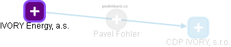 Pavel Fohler - Vizualizace  propojení osoby a firem v obchodním rejstříku