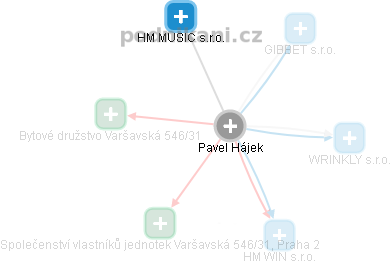Pavel Hájek - Vizualizace  propojení osoby a firem v obchodním rejstříku