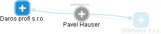 Pavel Hauser - Vizualizace  propojení osoby a firem v obchodním rejstříku