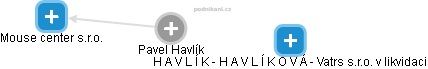 Pavel Havlík - Vizualizace  propojení osoby a firem v obchodním rejstříku