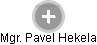 PAVEL HEKELA - Vizualizace  propojení osoby a firem v obchodním rejstříku