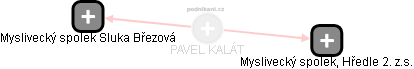 PAVEL KALÁT - Vizualizace  propojení osoby a firem v obchodním rejstříku