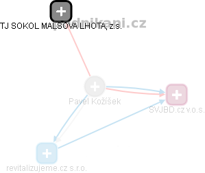 Pavel Kožíšek - Vizualizace  propojení osoby a firem v obchodním rejstříku
