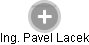 PAVEL LACEK - Vizualizace  propojení osoby a firem v obchodním rejstříku