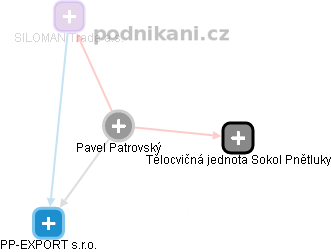 Pavel Patrovský - Vizualizace  propojení osoby a firem v obchodním rejstříku