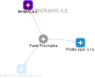Pavel Procházka - Vizualizace  propojení osoby a firem v obchodním rejstříku