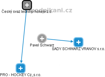 Pavel Schwarz - Vizualizace  propojení osoby a firem v obchodním rejstříku