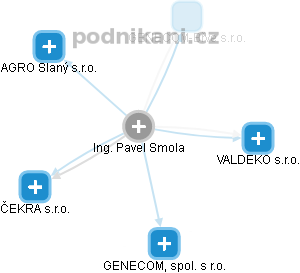 Pavel Smola - Vizualizace  propojení osoby a firem v obchodním rejstříku