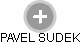 PAVEL SUDEK - Vizualizace  propojení osoby a firem v obchodním rejstříku