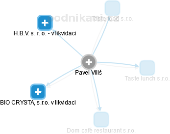 Pavel Viliš - Vizualizace  propojení osoby a firem v obchodním rejstříku
