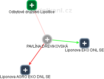 PAVLÍNA DŘEVIKOVSKÁ - Vizualizace  propojení osoby a firem v obchodním rejstříku