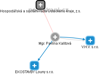 PAVLÍNA KALITOVÁ - Vizualizace  propojení osoby a firem v obchodním rejstříku