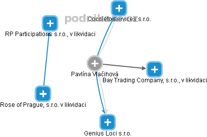  Pavlína V. - Vizualizace  propojení osoby a firem v obchodním rejstříku