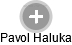 Pavol Haluka - Vizualizace  propojení osoby a firem v obchodním rejstříku