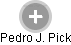  Pedro P. - Vizualizace  propojení osoby a firem v obchodním rejstříku