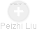 Peizhi Liu - Vizualizace  propojení osoby a firem v obchodním rejstříku