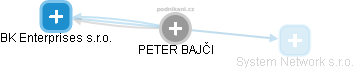 PETER BAJČI - Vizualizace  propojení osoby a firem v obchodním rejstříku