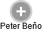 Peter Beňo - Vizualizace  propojení osoby a firem v obchodním rejstříku