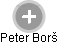 Peter Borš - Vizualizace  propojení osoby a firem v obchodním rejstříku