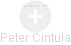 Peter Cintula - Vizualizace  propojení osoby a firem v obchodním rejstříku