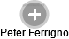 Peter Ferrigno - Vizualizace  propojení osoby a firem v obchodním rejstříku