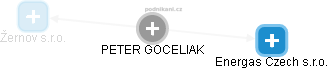 PETER GOCELIAK - Vizualizace  propojení osoby a firem v obchodním rejstříku