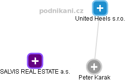 Peter Karak - Vizualizace  propojení osoby a firem v obchodním rejstříku