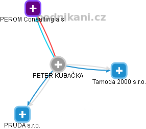 PETER KUBAČKA - Vizualizace  propojení osoby a firem v obchodním rejstříku