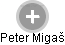 Peter Migaš - Vizualizace  propojení osoby a firem v obchodním rejstříku