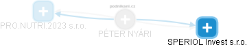 Péter N. - Vizualizace  propojení osoby a firem v obchodním rejstříku