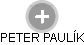 PETER PAULÍK - Vizualizace  propojení osoby a firem v obchodním rejstříku