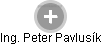 PETER PAVLUSÍK - Vizualizace  propojení osoby a firem v obchodním rejstříku