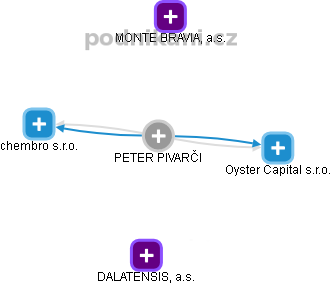 PETER PIVARČI - Vizualizace  propojení osoby a firem v obchodním rejstříku