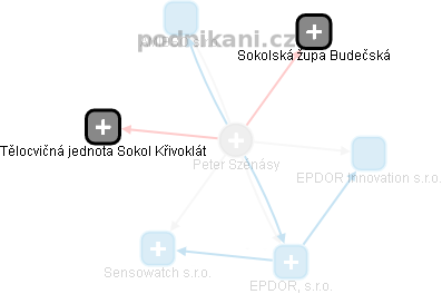Peter Szénásy - Vizualizace  propojení osoby a firem v obchodním rejstříku