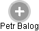 Petr Balog - Vizualizace  propojení osoby a firem v obchodním rejstříku