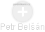 Petr Belšán - Vizualizace  propojení osoby a firem v obchodním rejstříku