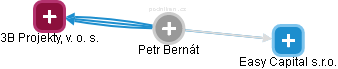 Petr Bernát - Vizualizace  propojení osoby a firem v obchodním rejstříku