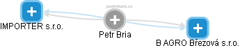 Petr Bria - Vizualizace  propojení osoby a firem v obchodním rejstříku