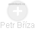 Petr Bříza - Vizualizace  propojení osoby a firem v obchodním rejstříku