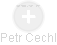 Petr Cechl - Vizualizace  propojení osoby a firem v obchodním rejstříku