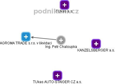 Petr Chaloupka - Vizualizace  propojení osoby a firem v obchodním rejstříku