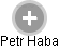 Petr Haba - Vizualizace  propojení osoby a firem v obchodním rejstříku