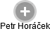 Petr Horáček - Vizualizace  propojení osoby a firem v obchodním rejstříku