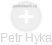 Petr Hyka - Vizualizace  propojení osoby a firem v obchodním rejstříku