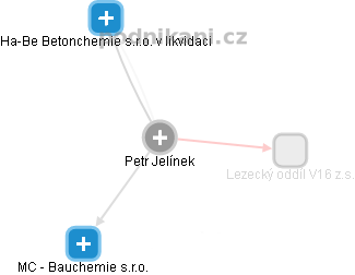 Petr Jelínek - Vizualizace  propojení osoby a firem v obchodním rejstříku