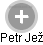 Petr Jež - Vizualizace  propojení osoby a firem v obchodním rejstříku