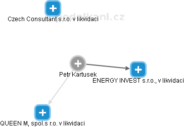 Petr Kartusek - Vizualizace  propojení osoby a firem v obchodním rejstříku