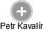 Petr Kavalír - Vizualizace  propojení osoby a firem v obchodním rejstříku